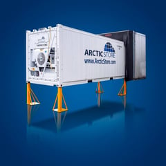 ArcticStore_20ft_45_degree_anlæg_on_legs